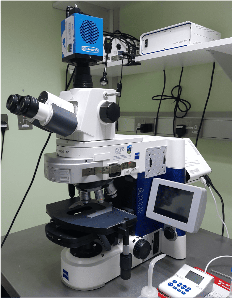 Epi-fluorescent microscope for slides [John]